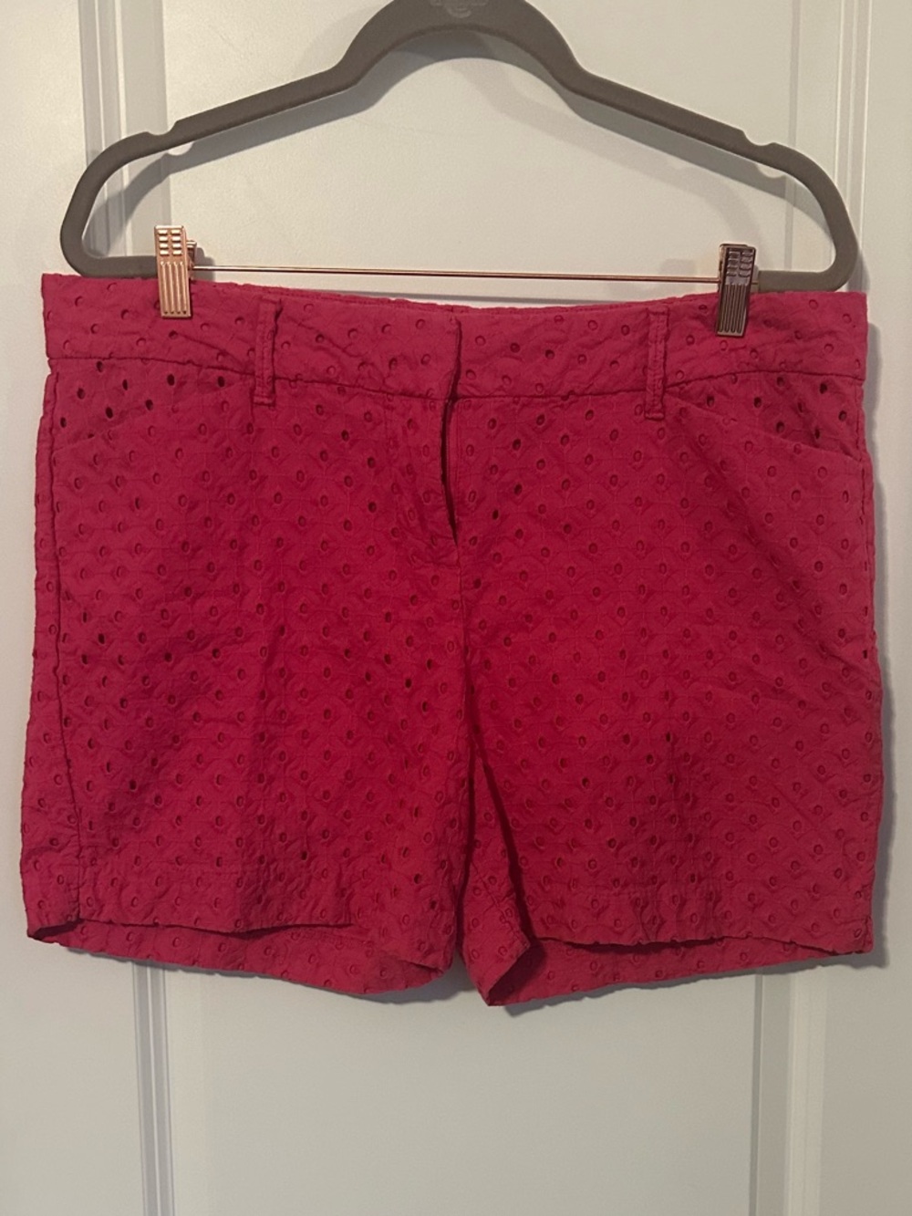 The Limited Hot Pink Eyelet Women's Shorts - Picture 2 of 4